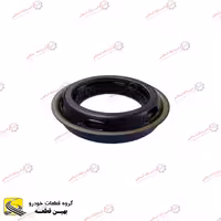 کاسه نمد پلوس برلیانس 300 دستی