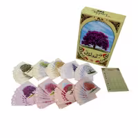کندلوس میدیامجیک