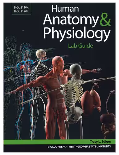 خرید و دانلود نسخه کامل کتاب Human Anatomy &amp; Physiology Lab Guide