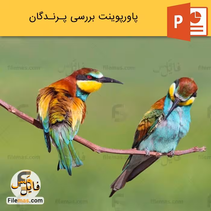 پاورپوینت درباره پرندگان و بررسی آنها