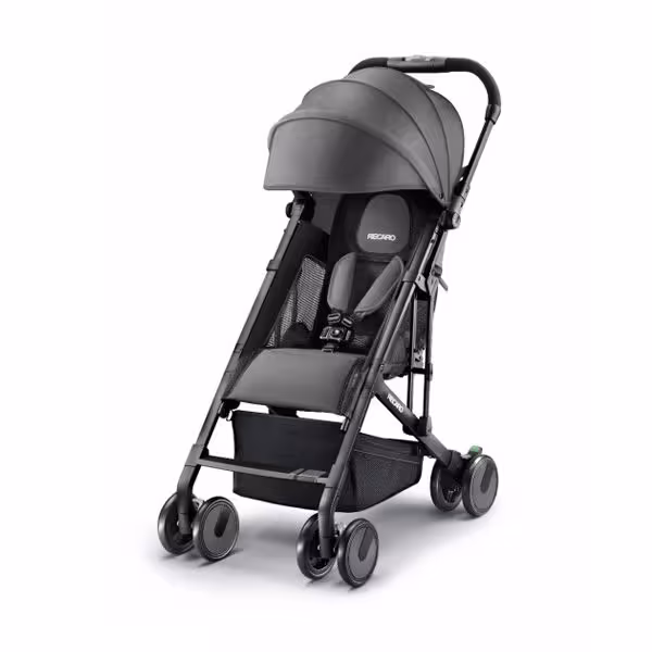 کالسکه خاکستری ایزی لایف الیت ریکارو RECARO Easy Life Elite