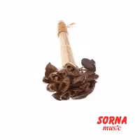 افکت Colanut shaker L 25cm