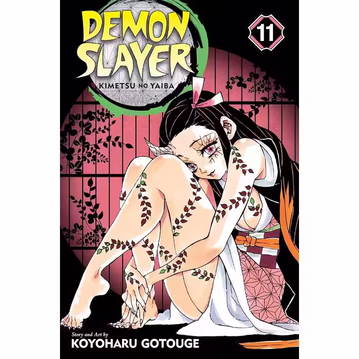 Demon Slayer - Kimetsu no Yaiba V11