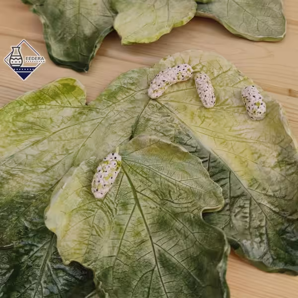 تخته سرو برگ توت
