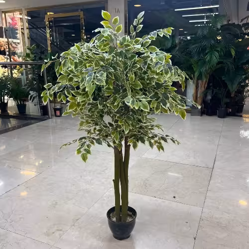 درختچه بنجامین مصنوعی 150