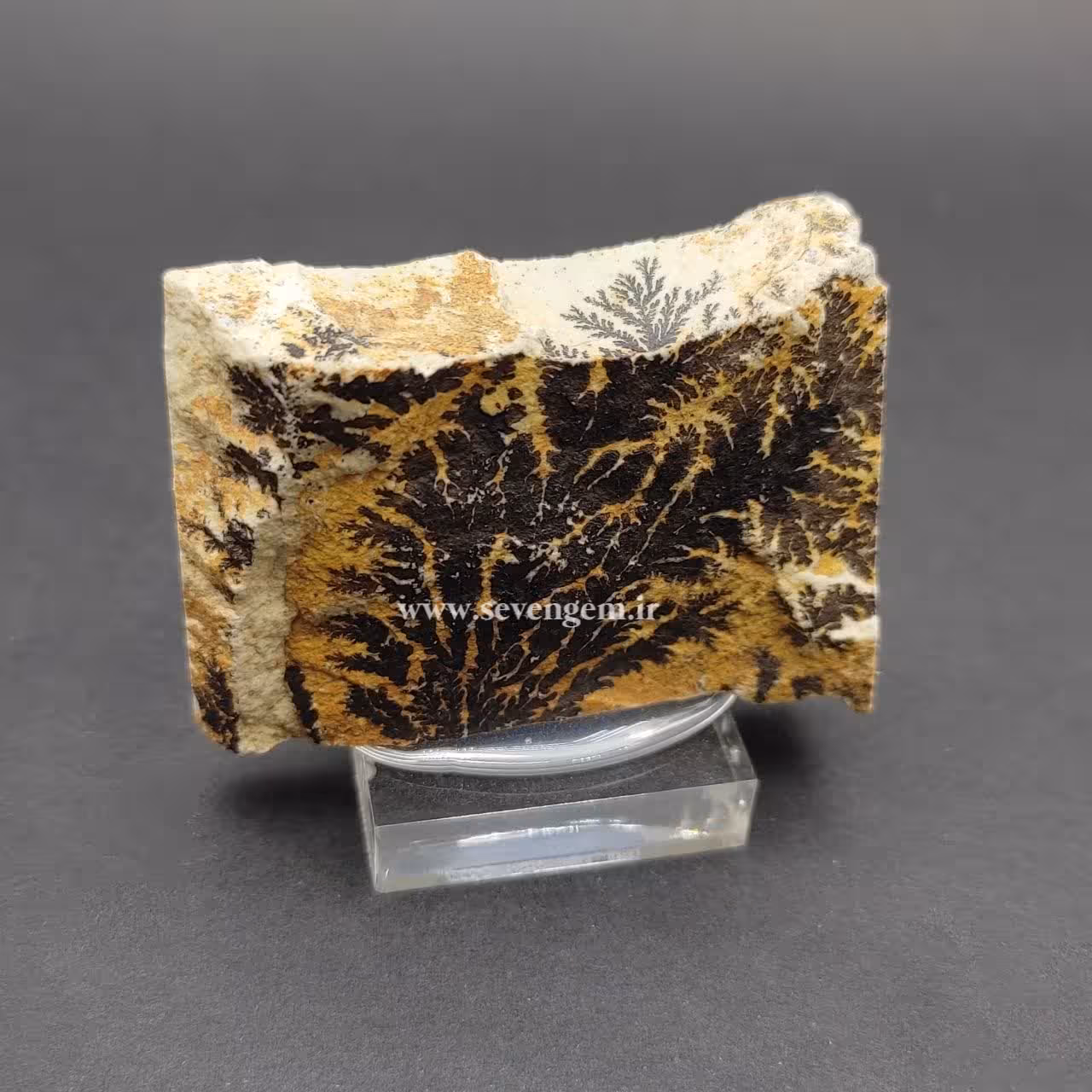 راف سنگ شجر پیرولوزیت (کدA501)