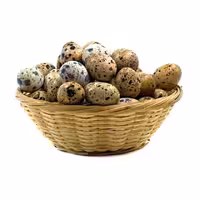 تخم بلدرچین فله