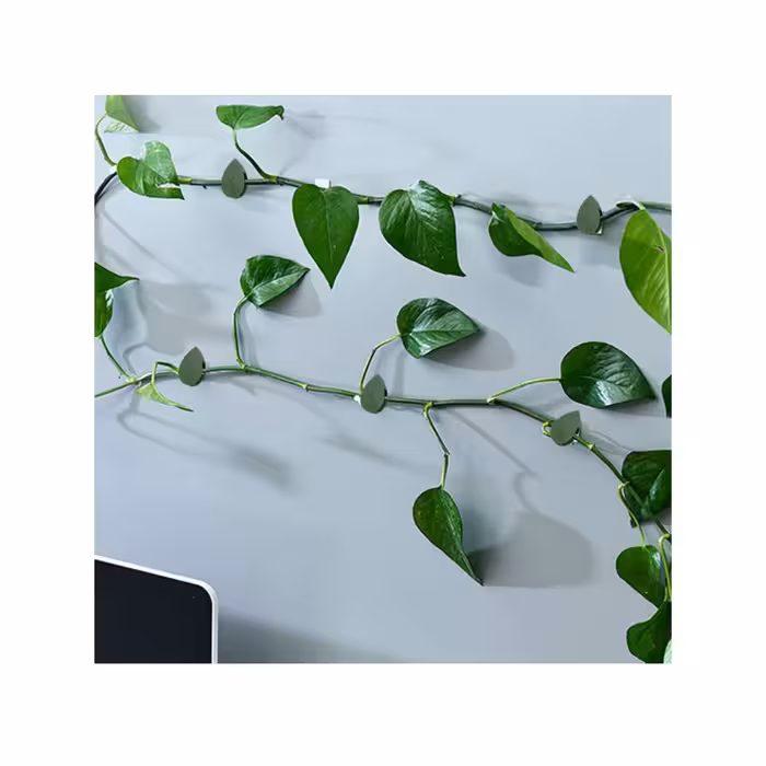 قیم بند مدل برگ بسته 100 عددی