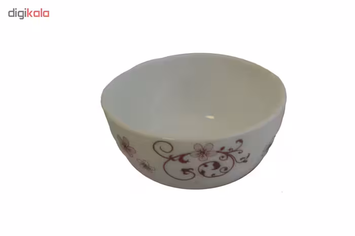 سرویس 25 پارچه غذاخوری آیروپال طرح روشان 