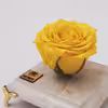 گل رز جاودان مدل Yellow162