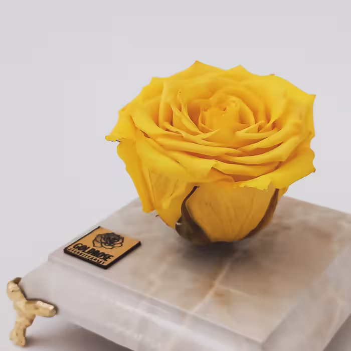 گل رز جاودان مدل Yellow162