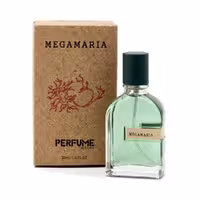 ادوپرفیوم مردانه پرفیوم فکتوری PERFUME FACTORY رایحه مگاماره حجم 30 میل