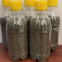 سبزی نعنا خشک محلی خانگی 100گرمی