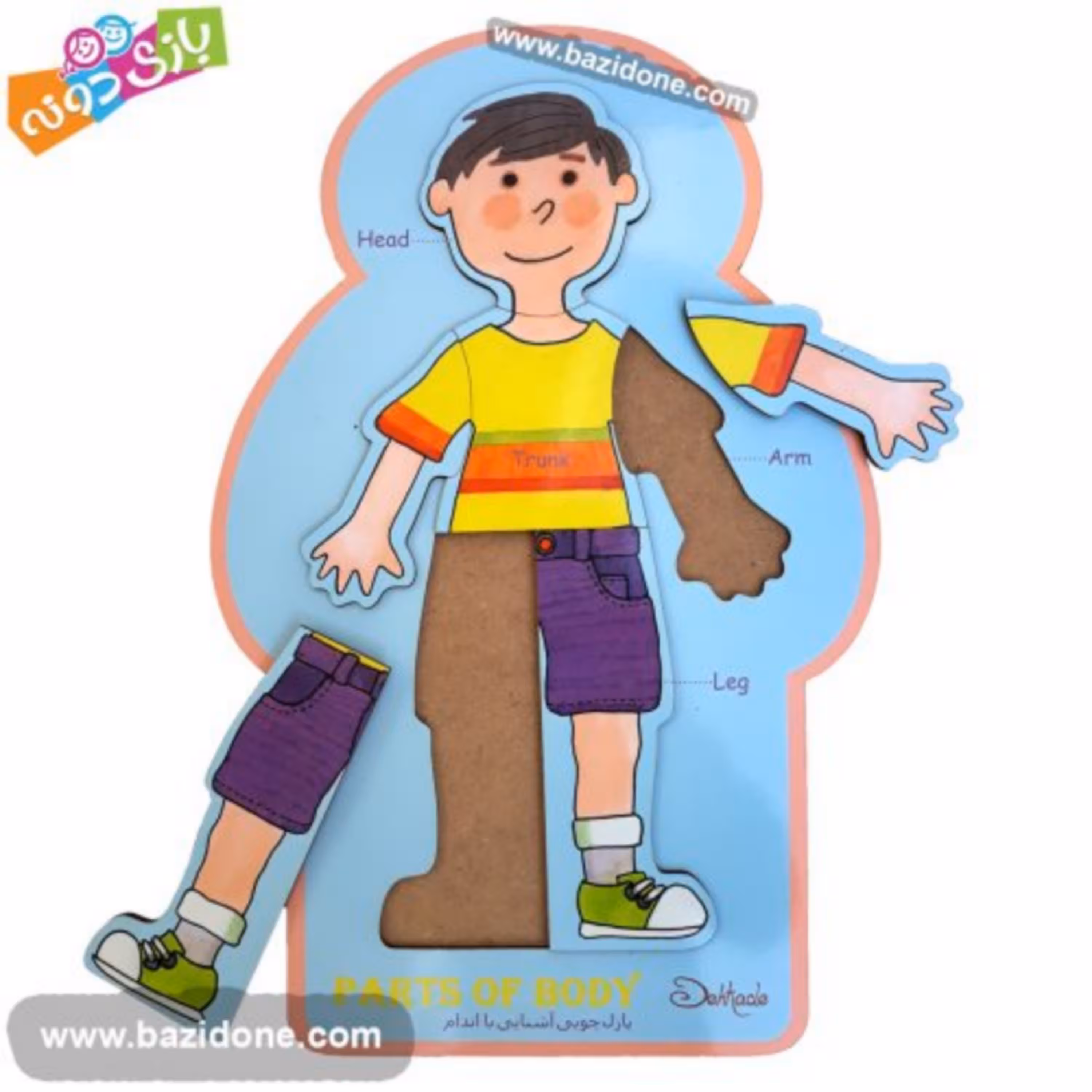 پازل چوبی اعضای بدن