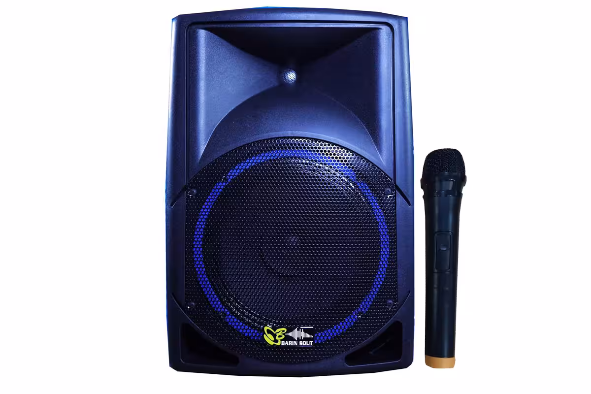 اکو همراه برین صوت 12300 Barin Sout با میکروفون