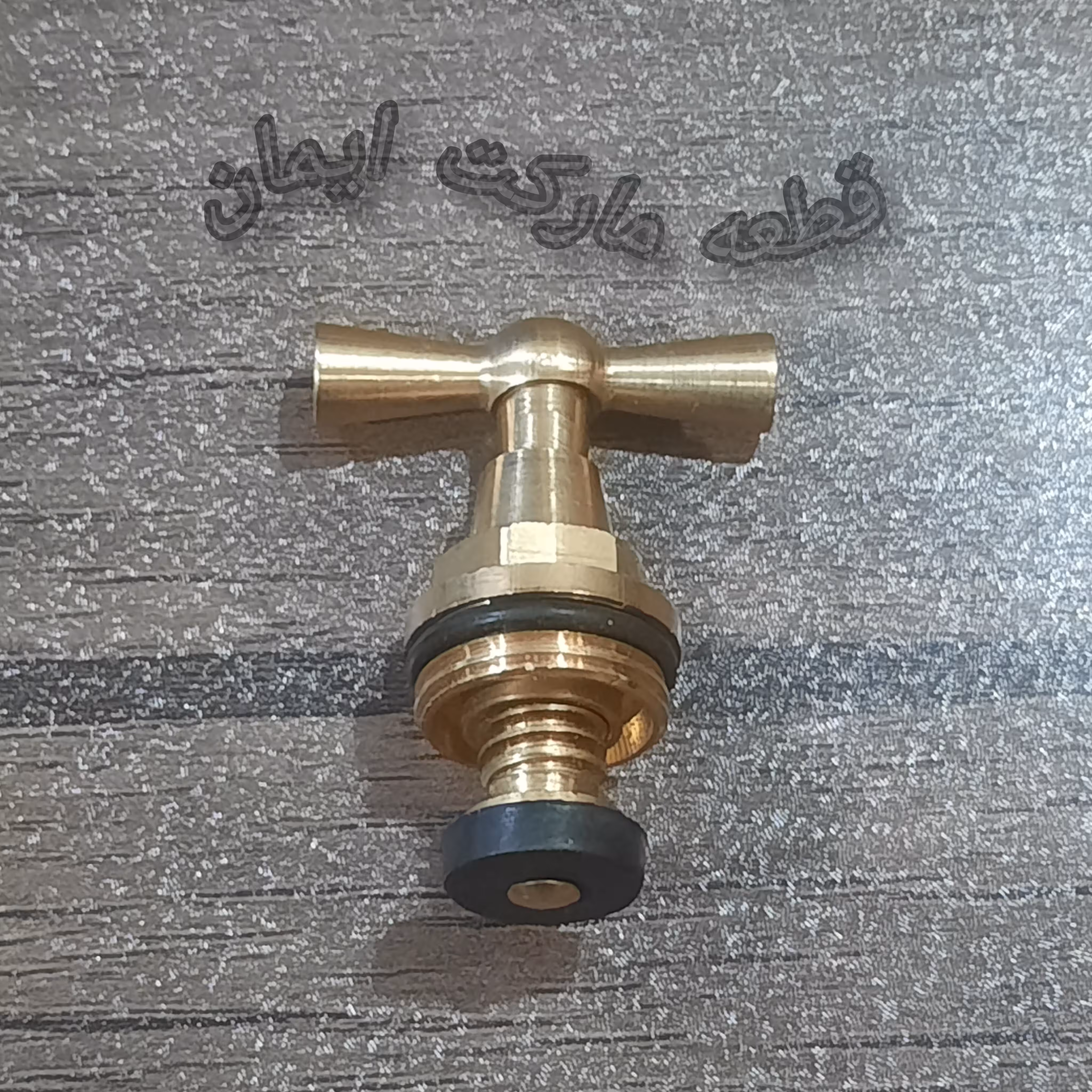 مغزی شیرآب حیاطی(آفتابه ای)