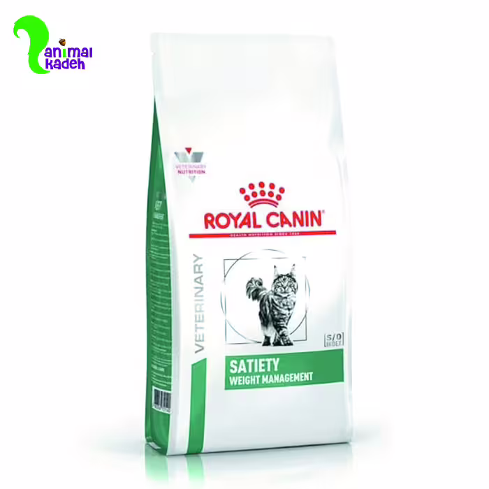 غذا خشک گربه بالغ رویال کنین مدل ستایتی رژیمی (3.5 کیلویی)