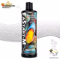 محلول باکتری فست استارت ام آب شور برایت ول