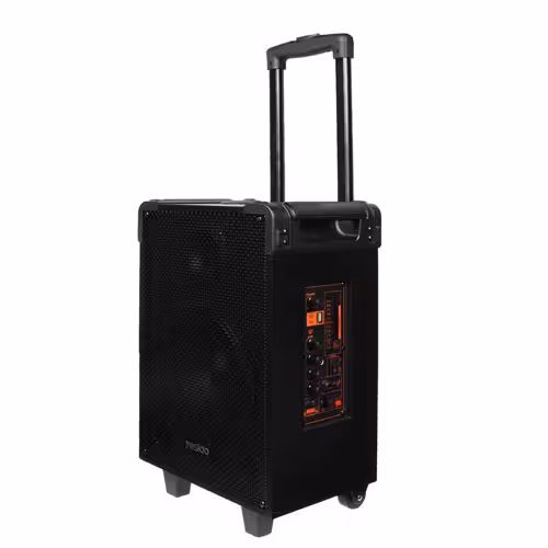 اسپیکر یسیدو مدل ysw15