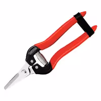 قیچی میوه چین سرکچ واستر