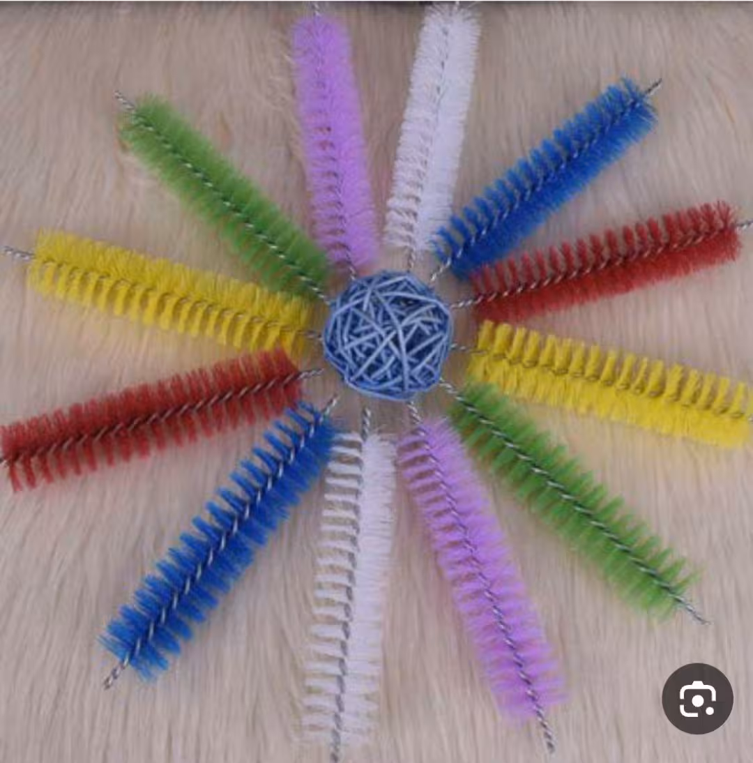 برس جارو نپتون