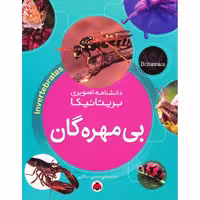 دانشنامه تصویری بریتانیکا: بی مهره گان