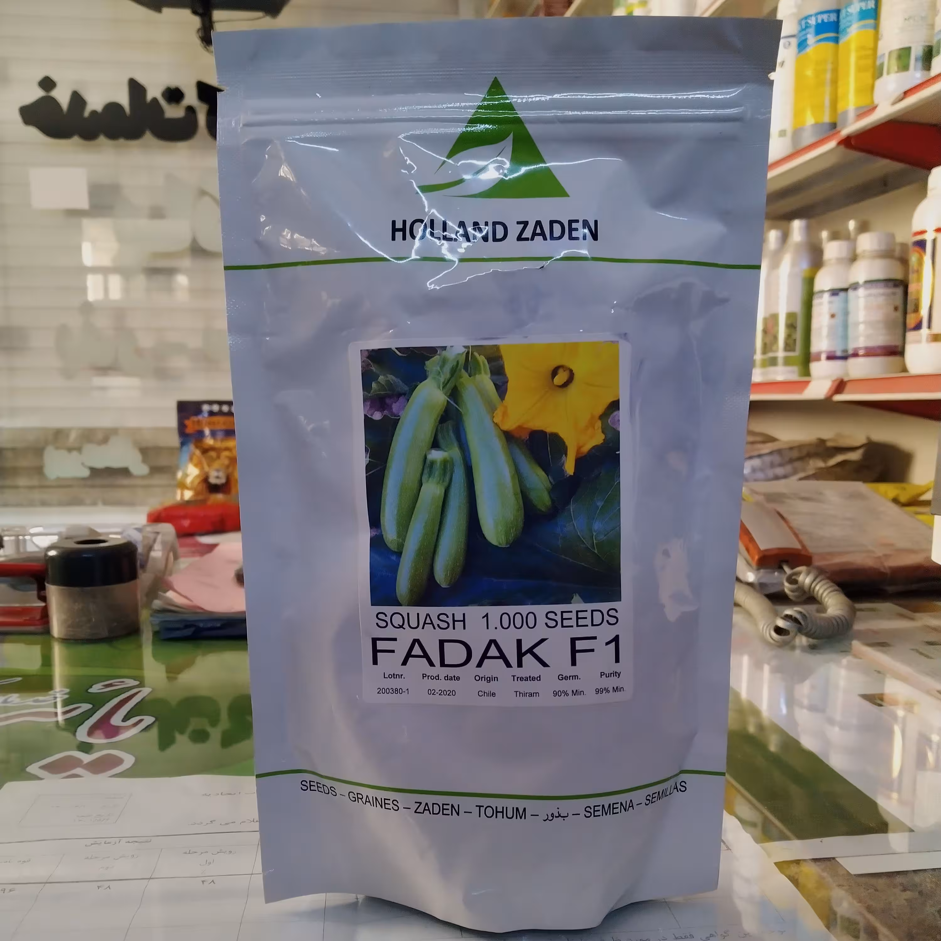 بذر کدو هلندزادن فدک