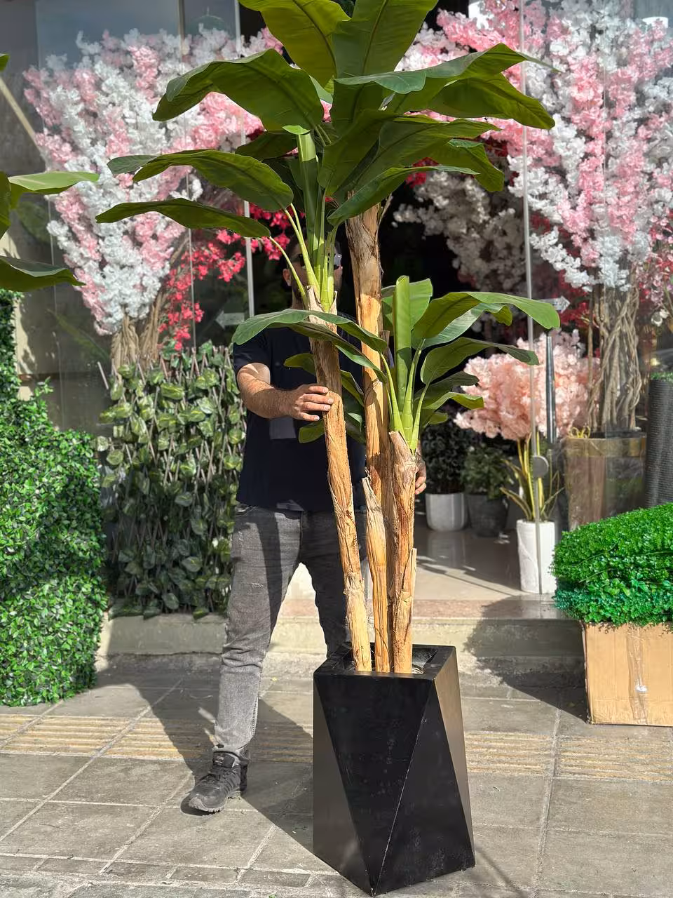 درخت موز مصنوعی 3تنه ارتفاع180سانت