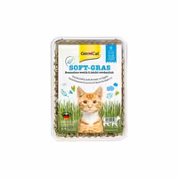 بذر علف گربه جیم کت مدل Soft Grass وزن 100 گرم