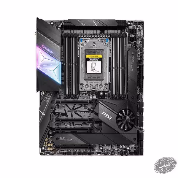 گیره عکس طرح کاکتوس مجموعه 10 عددی