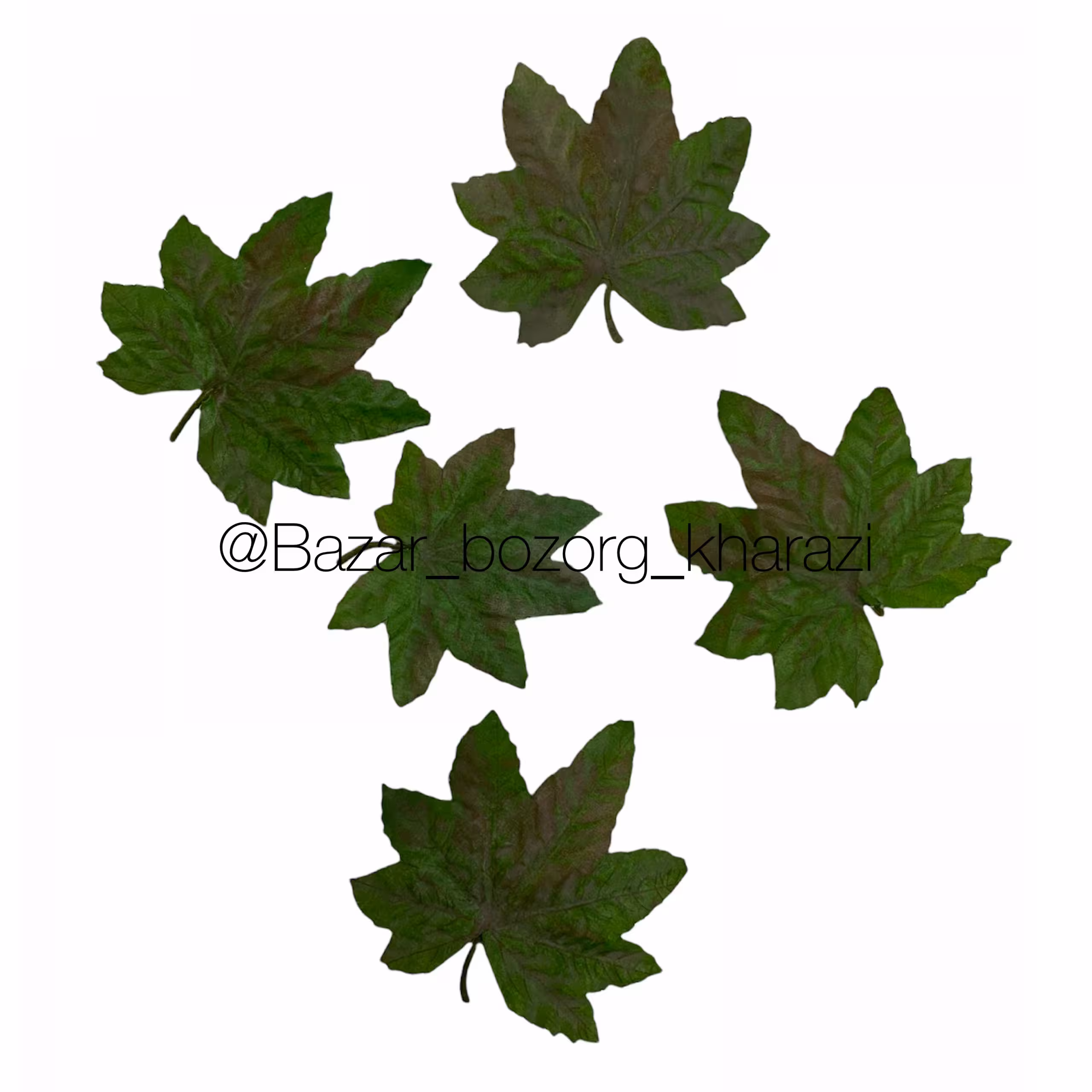 برگ چنار 5 تایی