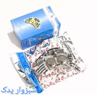 مدول بخاری پژو 405 برند AMT
