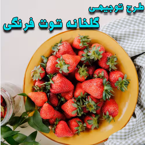 خرید و دانلود طرح توجیهی گلخانه توت فرنگی