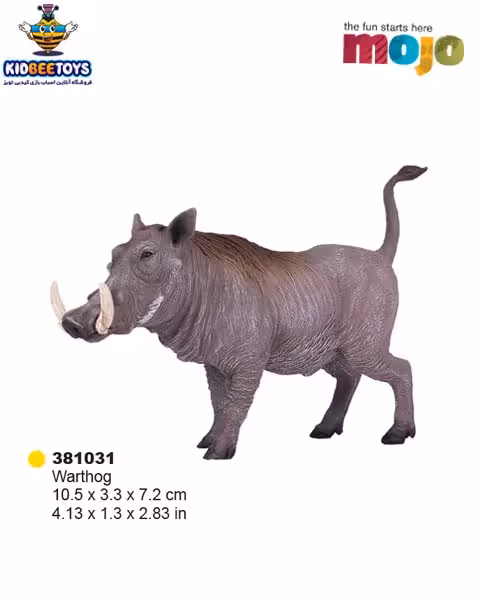 فیگور گراز آفریقایی