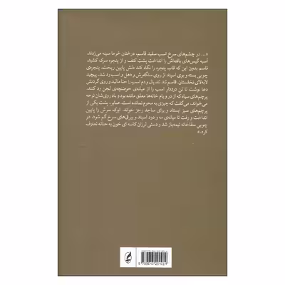 کتاب مکاشفه ابرک سگ قربانعلی اثر الهامه کاغذچی انتشارات آگه