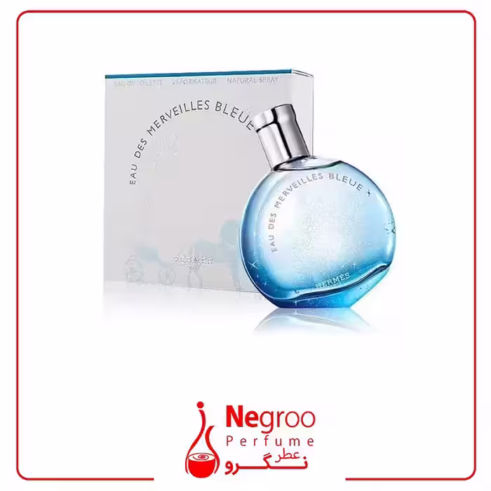 عطر ادکلن هرمس او دس مرویلس بلو 100 میل
