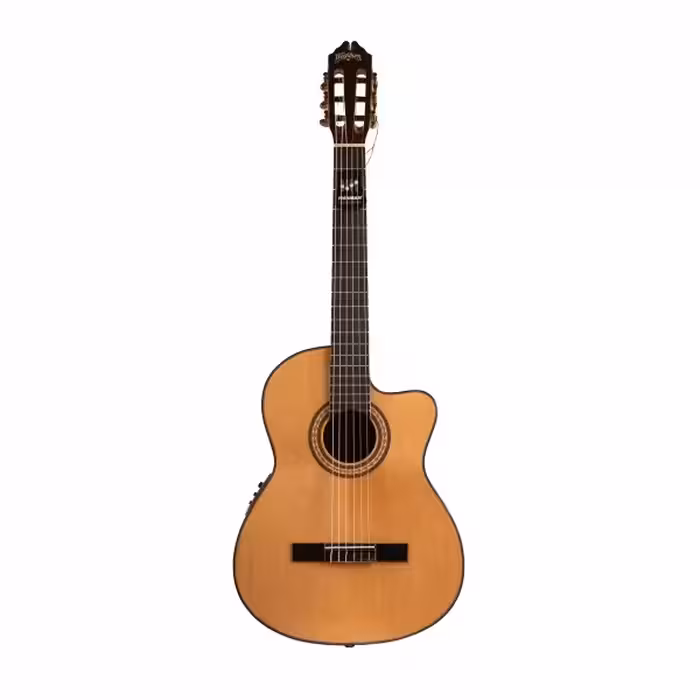 گیتار کلاسیک واش برن مدل بوبینگا کات وی پیکاپ دارWashburn Classical Guitar