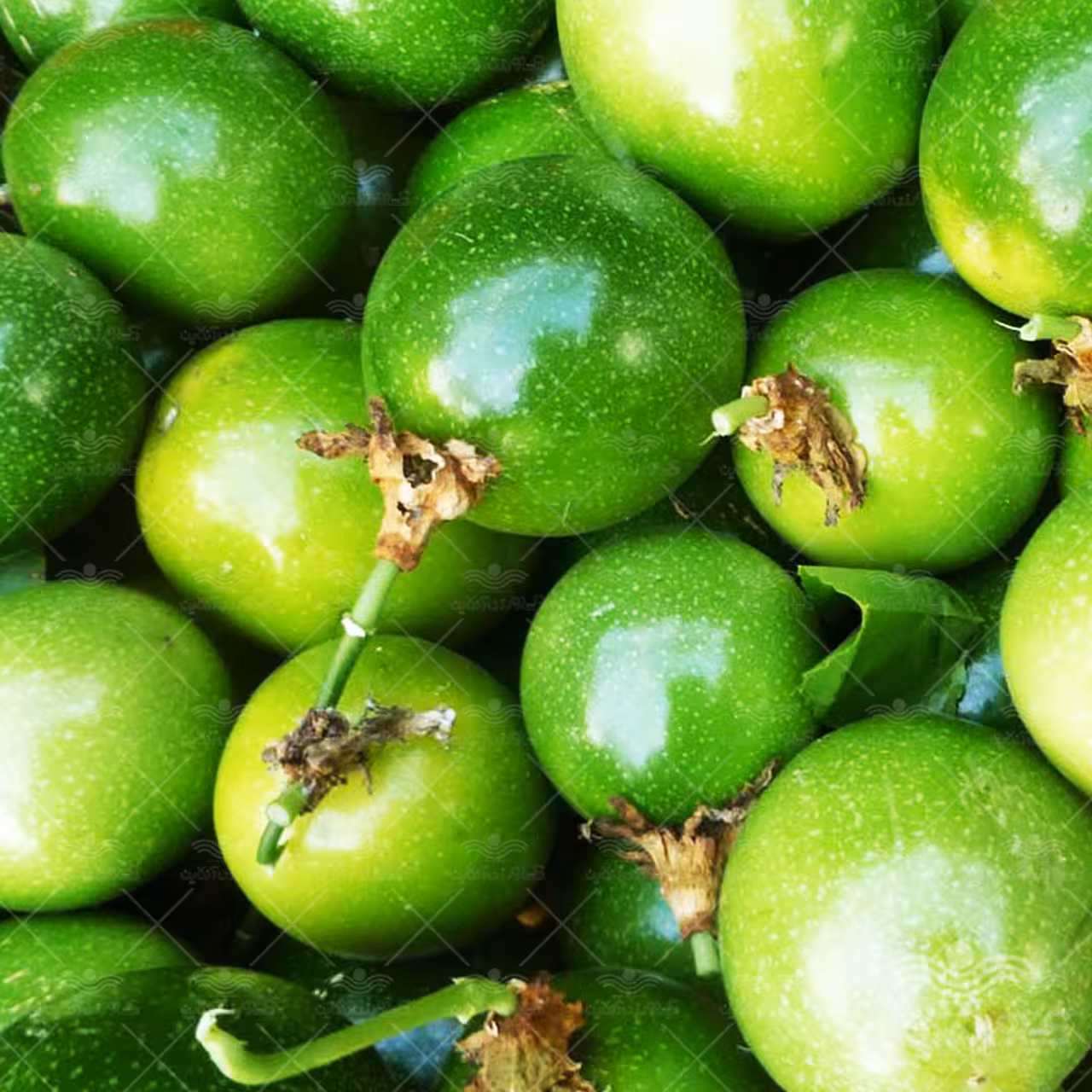 بذر پشن فروت سبز
