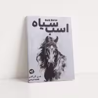 کتاب اسب سیاه اثر تاد رز و اگی اگاس انتشارات زرین کلک