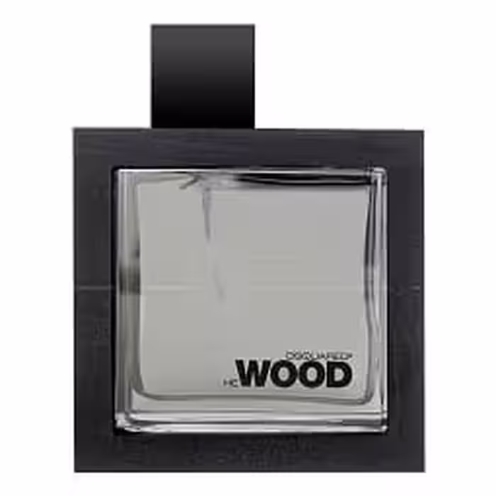 ادو تويلت مردانه ديسکوارد مدل He Wood Silver Wind Wood حجم 100 ميلي ليتر