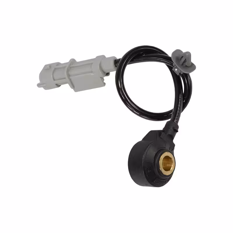 ناک سنسور هیوندای ولستر