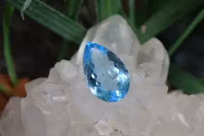 بلوتوپاز سوئیس