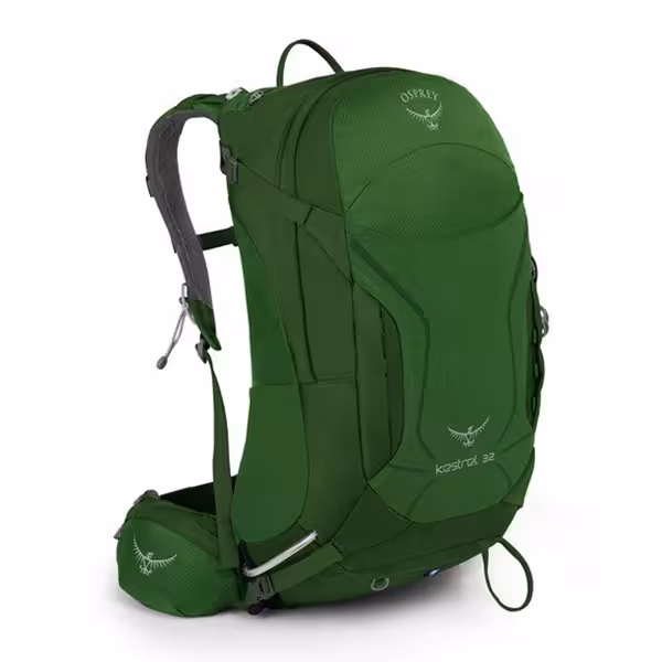 کوله پشتی پیاده روی 32 لیتری مردانه آسپری مدل Kestrel