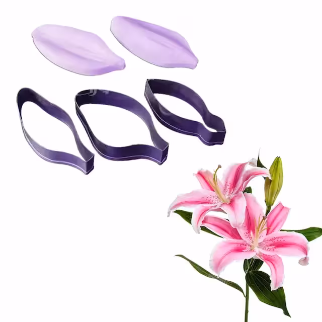 ست کاتر و وینر گل لیلیوم