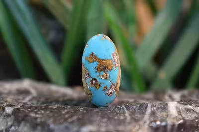 فیروزه نیشابور