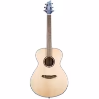 گیتار آکوستیک Breedlove Discovery S Concert European