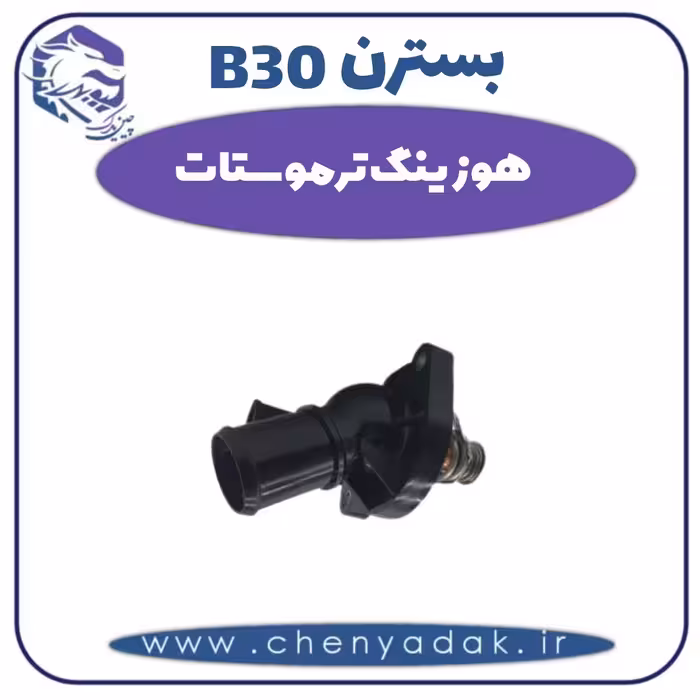 هوزینگ ترموستات بسترن B30