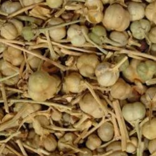 اسپند (100گرمی)