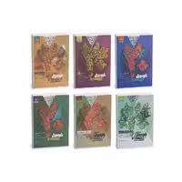 کتاب پک vip دروس عمومی یازدهم ریاضی فرمول بیست گاج ( ویژه امتحانات 1405 )