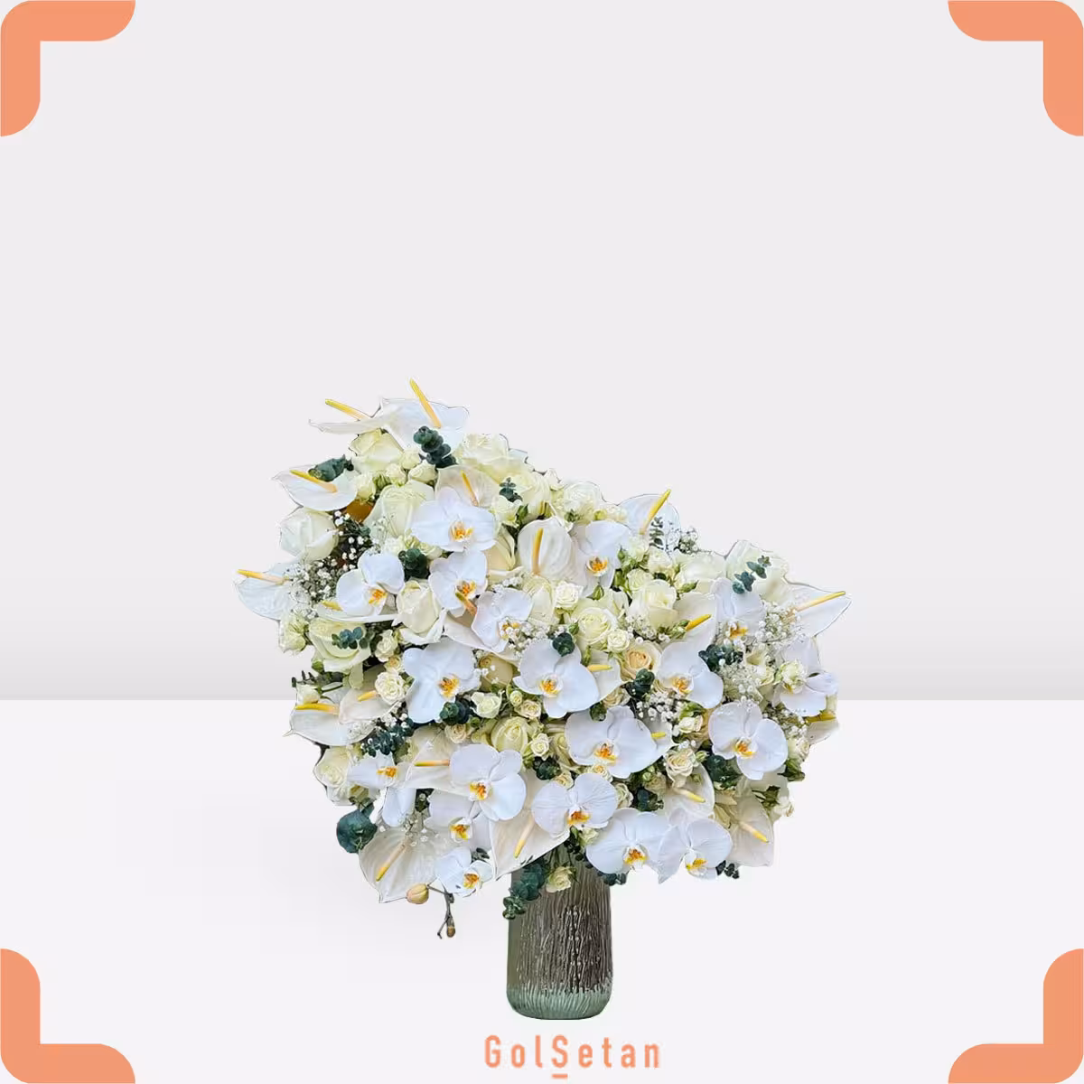 جام گل مانلی F146